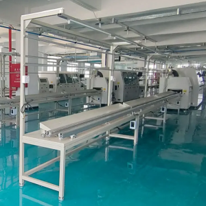 สายพานลำเลียงการผลิตแบบเสียบปลั๊ก (Plug-in Production Line) และสายการผลิต DIP สำหรับการใส่ชิ้นส่วน